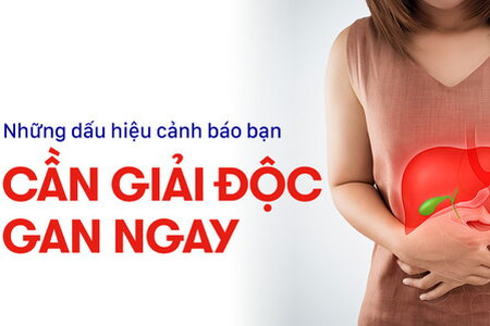 Những dấu hiệu cảnh báo bạn cần giải độc gan ngay