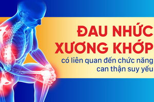 Đau nhức xương khớp có liên quan đến chức năng can thận suy yếu
