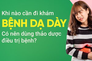 Khi nào cần đi khám bệnh dạ dày? Có nên dùng thảo dược điều trị bệnh?