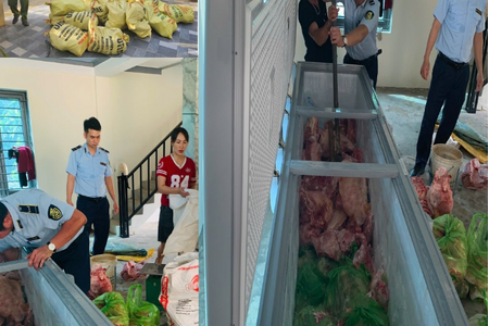 Tạm giữ hình sự 4 người ở Thanh Hoá gom lợn mắc dịch tả mang bán