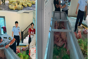 Tạm giữ hình sự 4 người ở Thanh Hoá gom lợn mắc dịch tả mang bán