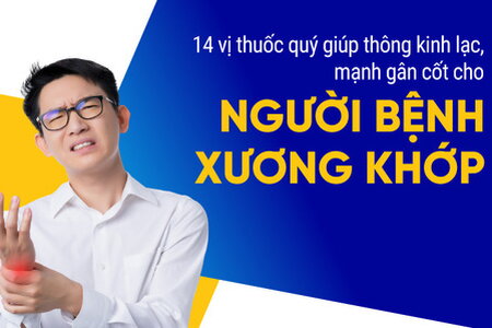 14 vị thuốc quý giúp thông kinh lạc, mạnh gân cốt cho bệnh xương khớp