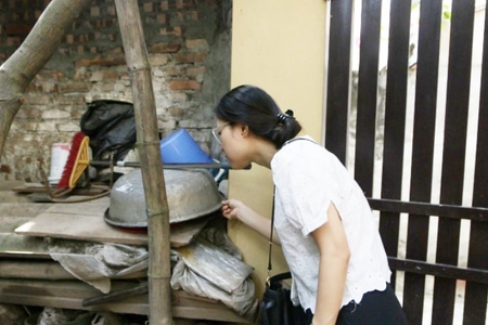 Dịch sốt xuất huyết phức tạp, Hà Nội làm gì để phòng, chống dịch?