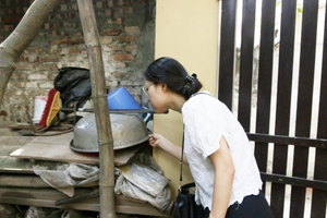 Dịch sốt xuất huyết phức tạp, Hà Nội làm gì để phòng, chống dịch?