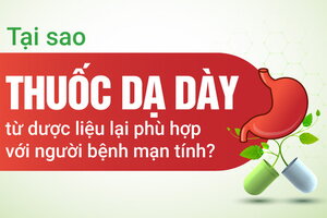 Tại sao thuốc dạ dày từ dược liệu lại phù hợp với người bệnh mạn tính