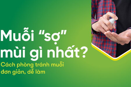 Muỗi “sợ” mùi gì nhất? Cách phòng tránh muỗi đơn giản, dễ làm