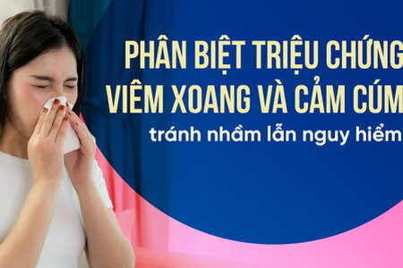 Phân biệt triệu chứng viêm xoang và cảm cúm tránh nhầm lẫn nguy hiểm