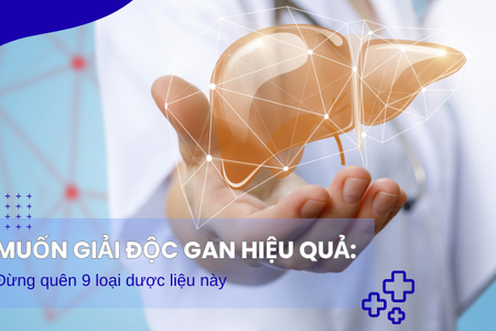 Muốn giải độc gan hiệu quả: Đừng quên 9 dược liệu này