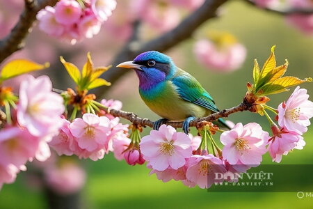 Ngày sinh Âm lịch "vàng", ai sở hữu như sa vào kho báu, làm gì cũng dễ dàng kiếm được tiền