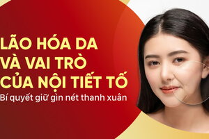 Lão hóa da và vai trò của nội tiết tố Bí quyết giữ gìn nét thanh xuân 