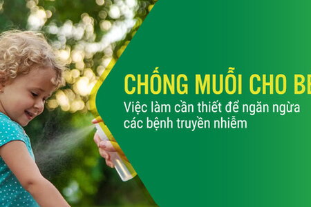 Chống muỗi cho bé: Việc làm cần thiết để ngăn ngừa bệnh truyền nhiễm
