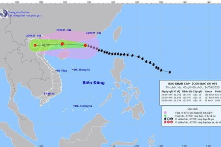 Siêu bão Ragasa cách Quảng Ninh khoảng 650km