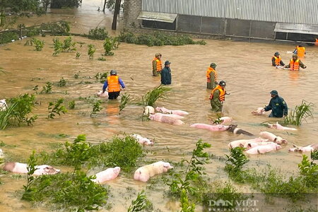 Bão số 10 (bão BUALOI) và mưa lũ sau bão làm 53 người chết và mất tích, 139 người bị thương, thiệt hại hàng nghìn tỷ