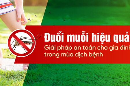 Đuổi muỗi hiệu quả Giải pháp an toàn cho gia đình trong mùa dịch bệnh