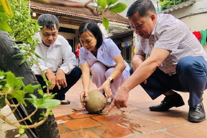 Hà Nội tăng mạnh ca sốt xuất huyết, nhiều ổ dịch ở ngưỡng nguy cơ cao