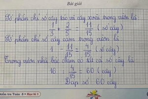 Bài toán lớp 5 khiến cô giáo và bố của học sinh 