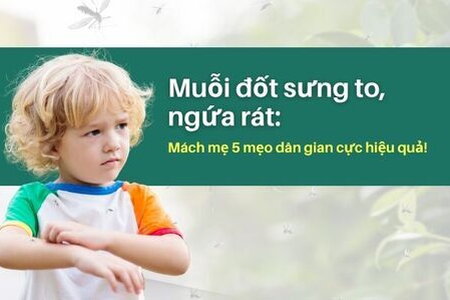 Muỗi đốt sưng to, ngứa rát: Mách mẹ 5 mẹo dân gian cực hiệu quả!