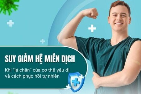 Suy giảm hệ miễn dịch – Khi “lá chắn” của cơ thể yếu đi