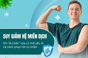 Suy giảm hệ miễn dịch – Khi “lá chắn” của cơ thể yếu đi
