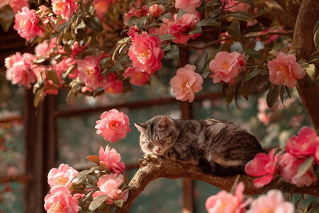 Tử vi ngày mai: 3 con giáp có thu hoạch kép trong tháng 11, tiền dễ kiếm, sự nghiệp suôn sẻ