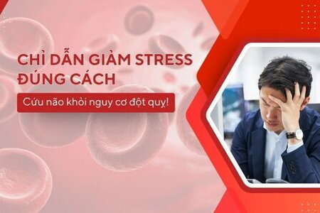 Chỉ dẫn giảm stress đúng cách – Cứu não khỏi nguy cơ đột quỵ!