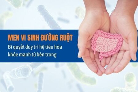 Men vi sinh đường ruột – Bí quyết duy trì hệ tiêu hóa khỏe mạnh