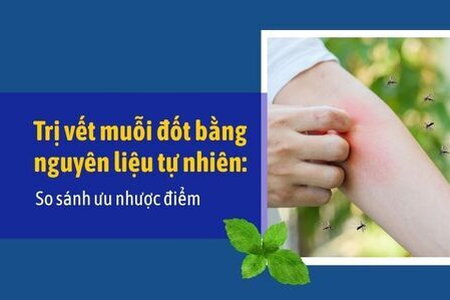 Trị vết muỗi đốt bằng nguyên liệu tự nhiên: So sánh ưu nhược điểm
