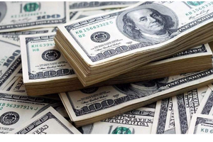 Tỷ giá USD/VND hôm nay 22/11: Thị trường 