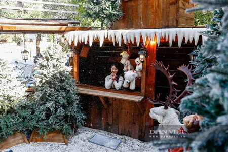 Tranh thủ thời tiết lý tưởng, giới trẻ Hà Nội xúng xính lên đồ "săn" ảnh Giáng sinh sớm