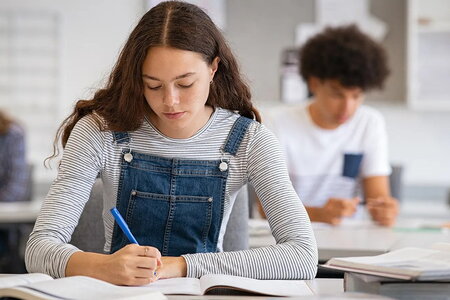 Nhiều học sinh Hà Lan không biết viết văn