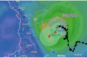 NÓNG: Miền Trung lại mưa lớn kéo dài, dự báo có nơi mưa trên 250mm