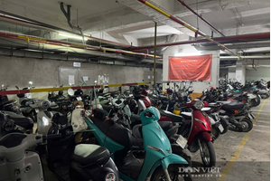 Thêm một chung cư Hà Nội tạm dừng nhận xe điện vì quá tải và lo ngại cháy nổ