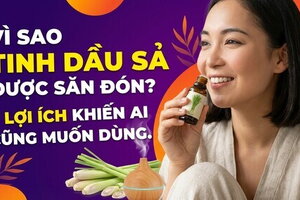 Vì sao tinh dầu sả được săn đón? 7 lợi ích khiến ai cũng muốn dùng