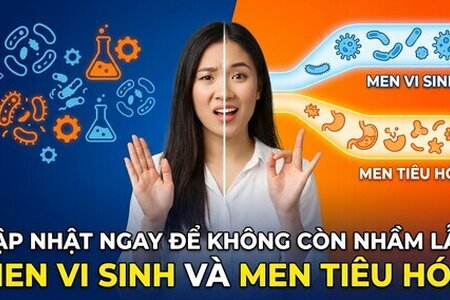 Cập nhật ngay để không còn nhầm lẫn men vi sinh và men tiêu hóa