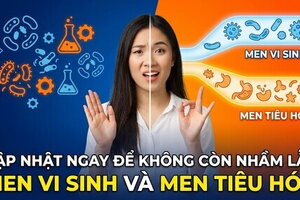 Cập nhật ngay để không còn nhầm lẫn men vi sinh và men tiêu hóa