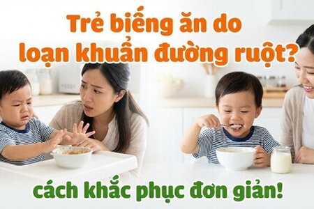Trẻ biếng ăn do loạn khuẩn đường ruột? Cách khắc phục đơn giản!