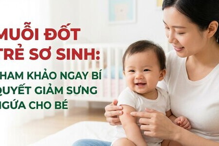 Muỗi đốt trẻ sơ sinh: tham khảo ngay bí quyết giảm sưng ngứa cho bé