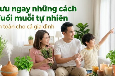 Lưu ngay những cách đuổi muỗi tự nhiên an toàn cho cả gia đình