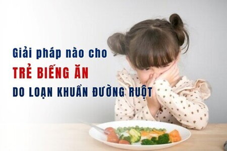 Giải pháp nào cho trẻ biếng ăn do loạn khuẩn đường ruột?