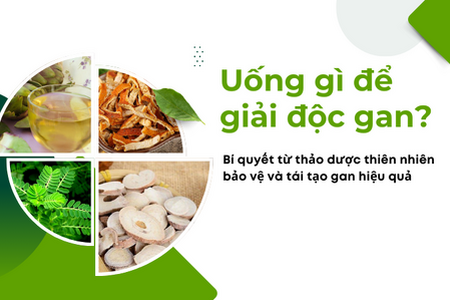 Uống gì để giải độc gan? Bí quyết từ thảo dược thiên nhiên bảo vệ