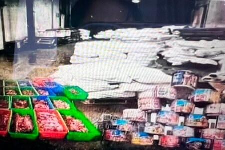 Khởi tố vụ án dùng thịt lợn nhiễm dịch tả làm đồ hộp ở Hải Phòng