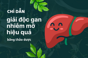 Chỉ dẫn giải độc gan nhiễm mỡ hiệu quả bằng thảo dược
