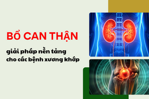 Bổ can thận – giải pháp nền tảng cho các bệnh xương khớp
