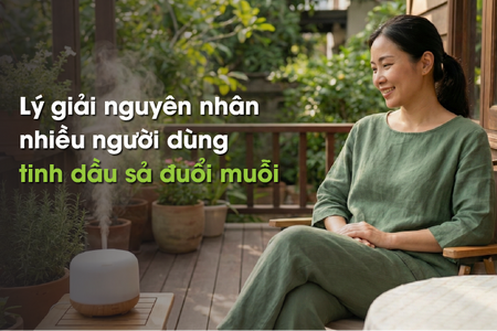 Lý giải nguyên nhân nhiều người dùng tinh dầu sả đuổi muỗi