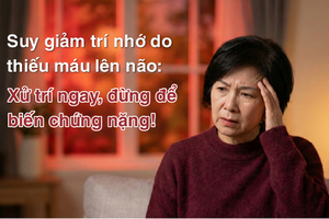 Suy giảm trí nhớ do thiếu máu lên não: Xử trí ngay