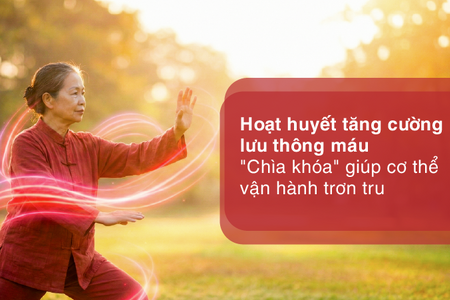 Hoạt huyết tăng cường lưu thông máu- "chìa khóa" giúp cơ thể vận hành