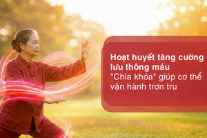 Hoạt huyết tăng cường lưu thông máu- "chìa khóa" giúp cơ thể vận hành