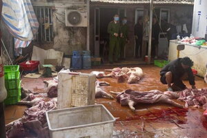 Triệt phá đường dây tiêu thụ gần 5 tấn lợn nhiễm bệnh ở Hưng Yên