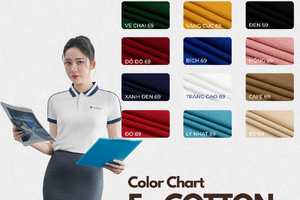 Đồng phục Polo Ecotton -  3 tiêu chí tạo nên dấu ấn cho đồng phục doanh nghiệp