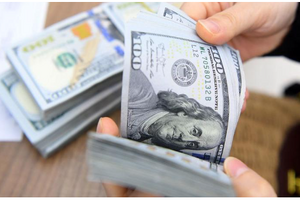 Tỷ giá USD/VND hôm nay 26/1: Đồng loạt giảm, thị trường 